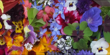 The top 8 EDIBLE FLOWERS for 2021