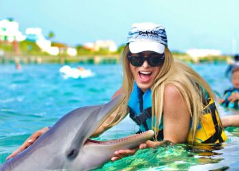 Dolphin Encounters and All-Inclusive Exploration: Jamaica Unveiled