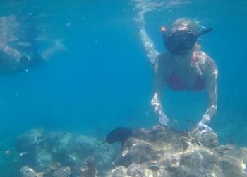 The Ultimate Unwind: Snorkeling and Spa Experiences in Punta Cana