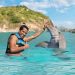 Dive into the Magic of Dolphin Discovery in St. Kitts